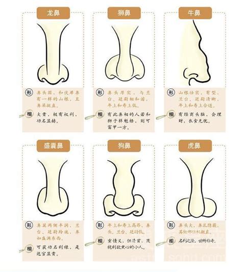 富鼻|俗话说“富贵在天，富看鼻，贵看眼”啥意思？为何是“富看鼻”？